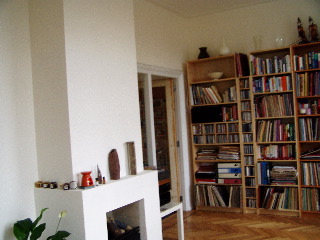 Book cases in the living room
